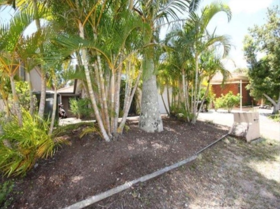 29 Con Brio Boulevard, Upper Coomera, 3 Bedrooms Bedrooms, ,2 BathroomsBathrooms,House,For Rent,Con Brio,1091